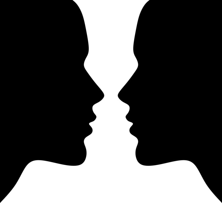 gestalt illusion