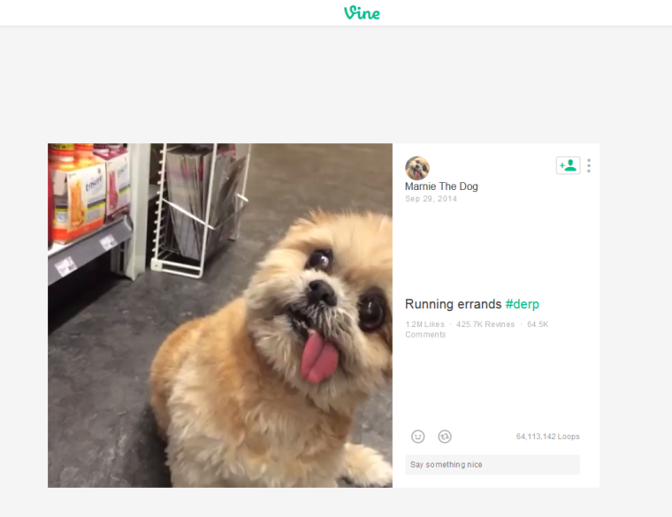 Marnie the Dog Vine Screenshot
