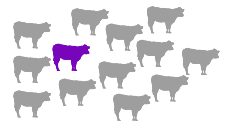 Business Idea Purple Cow Concept