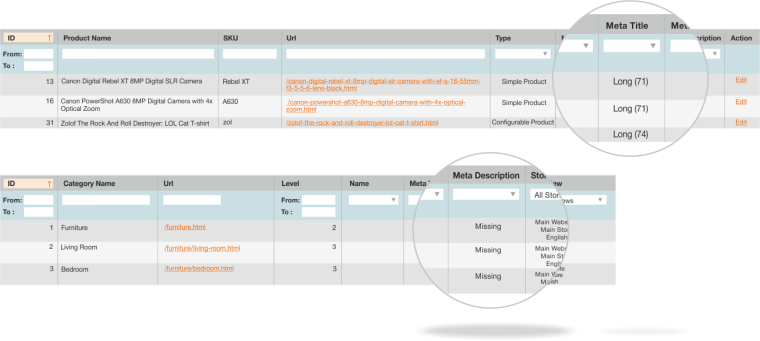 SEO reports