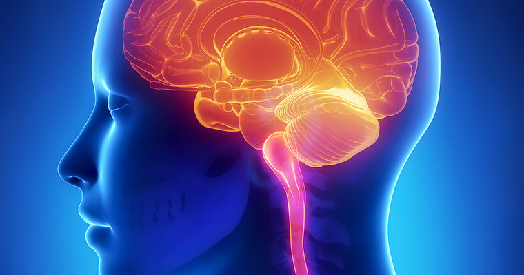 Google Uses ‘RankBrain’ To Answer Queries That Have Never Been Searched Before