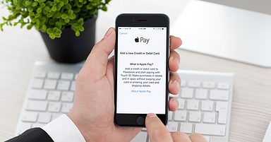 Apple pay on sale for business
