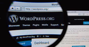 4 Great WordPress Site Search Plugins