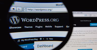 4 Great WordPress Site Search Plugins