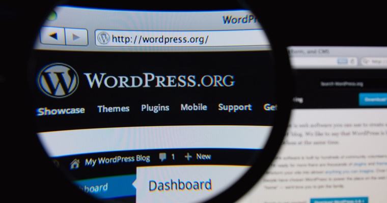 4 Great WordPress Site Search Plugins | SEJ