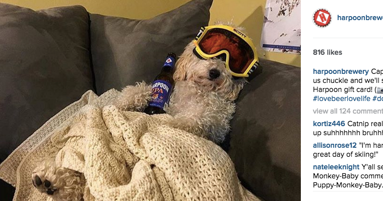 10 Companies Winning at Instagram Advertising