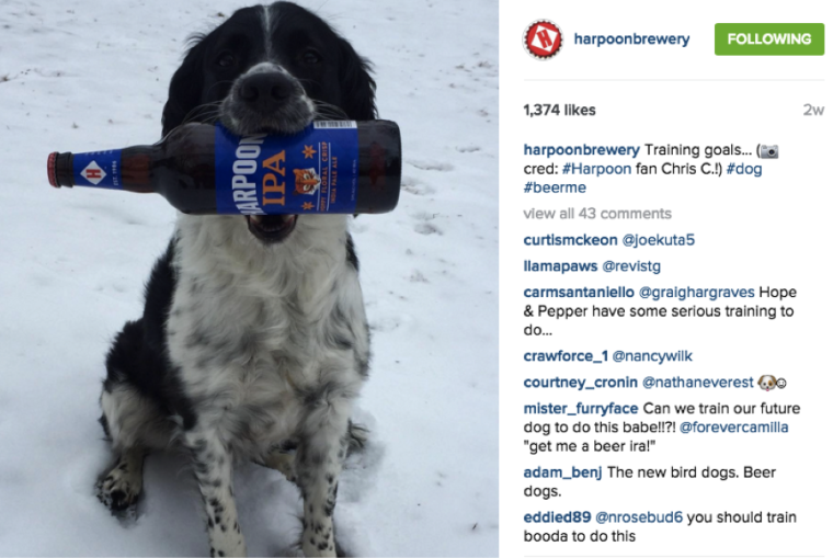 10 Companies Winning at Instagram Advertising | SEJ