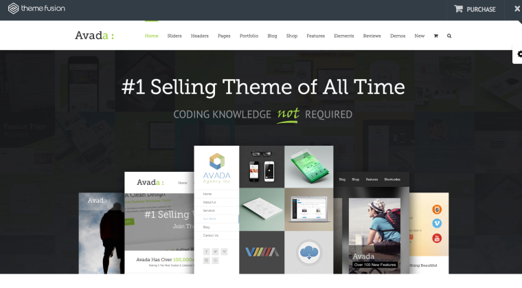 Avada WordPress Theme Screenshot