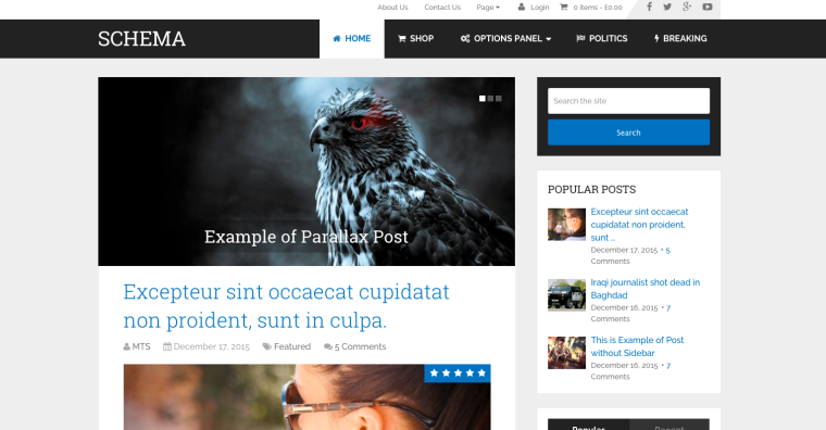 Schema WordPress Theme Screenshot