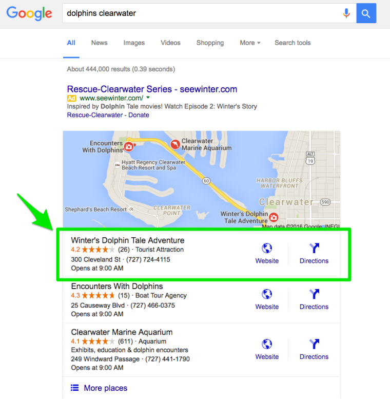 Google Local Search Query Dolphin Clearwater Search Query