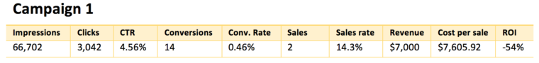 PPC Campaign Analytics Data – Campaign 1