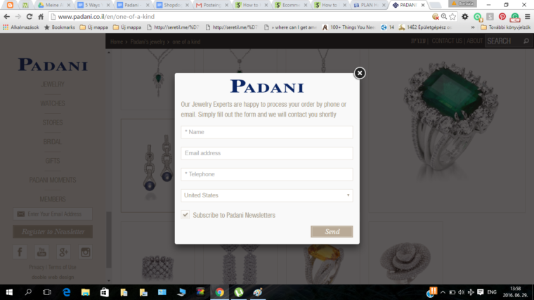 Padani's site follows the general approach of most ecommerce shops... but then the purchase process requires you to contact them. Not very self-serve...