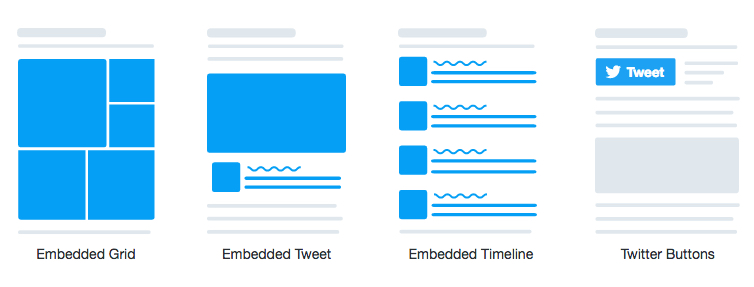 Ttwitter embed options