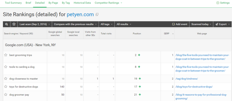 site rankings on WebCEO 