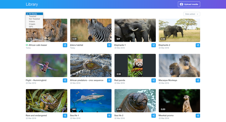 Twitter video library