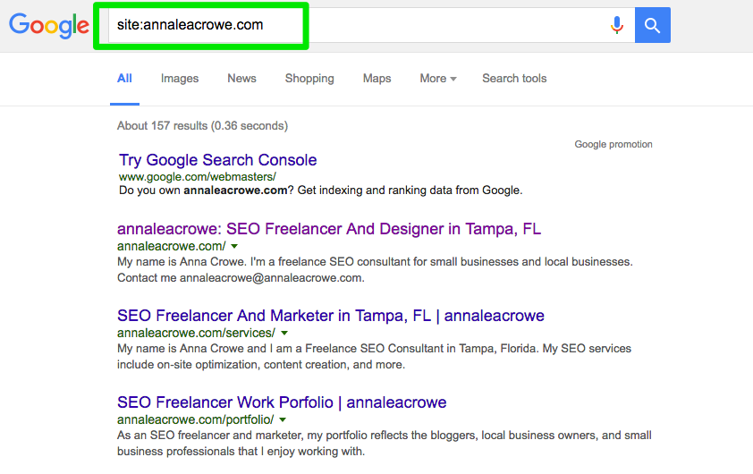 annaleacrowe_SEO audit site search