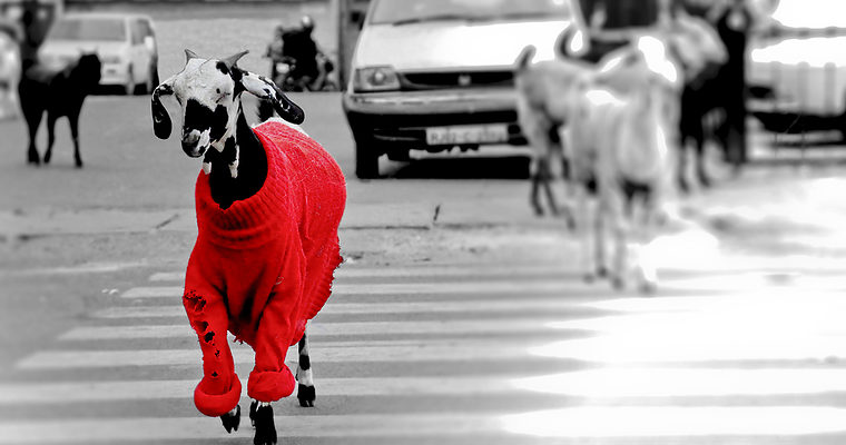 SEO 101: 4 Ways to Stand Out in the SERPs