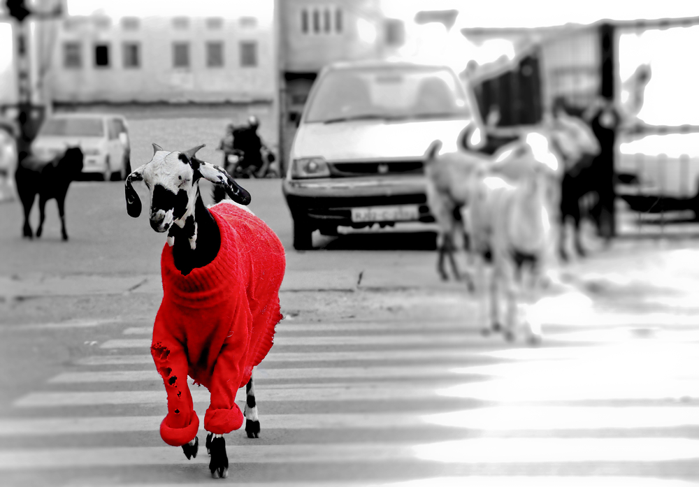 SEO 101: 4 Ways to Stand Out in the SERPs