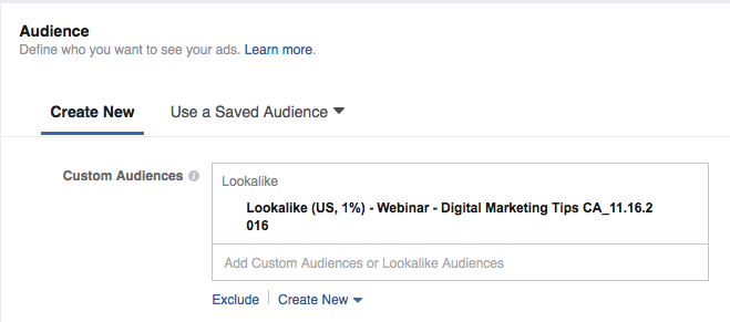 Facebook Lookalike Audience