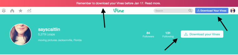 Vine is Dead, Long Live Vine | SEJ