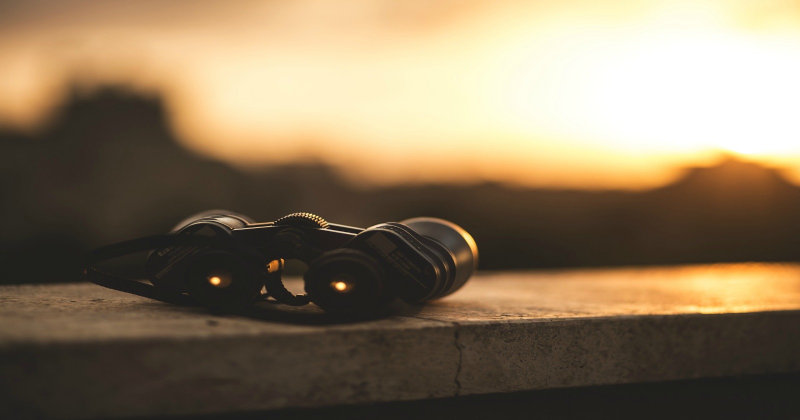 Why Focusing on SEO Alone Isn’t Enough