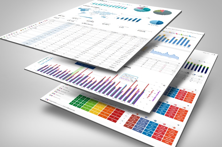 Customized dashboard and reports