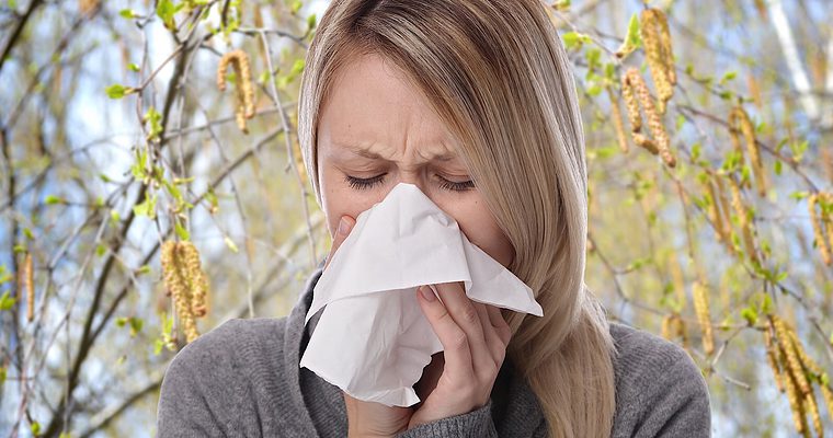 Google Search is Looking Out for People with Pollen Allergies