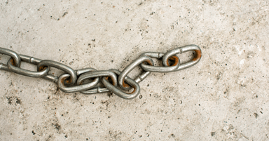 38% of SEOs Never Disavow Links [POLL]