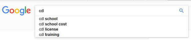 CDL Google Search screenshot