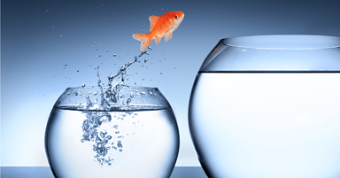 9 Reasons You Might Need to Rethink Your SEO Approach