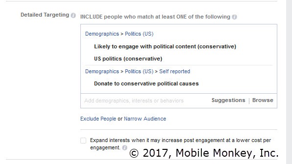 Detailed fake news ad targeting using Facebook ads