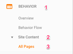 Google Analytics Behavior All Pages