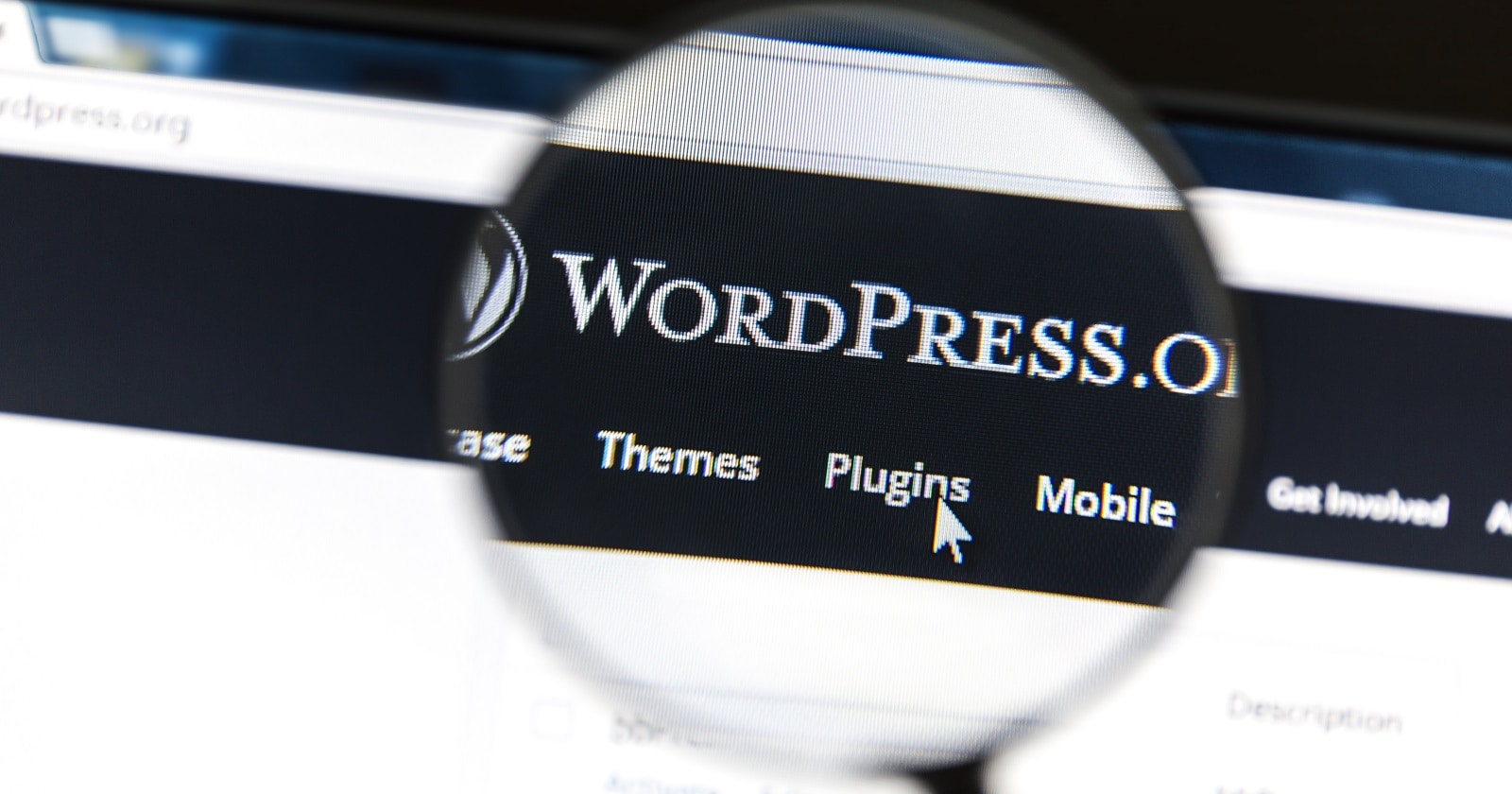 wordpress