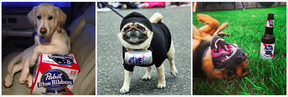 Pabst Blue Ribbon dogs