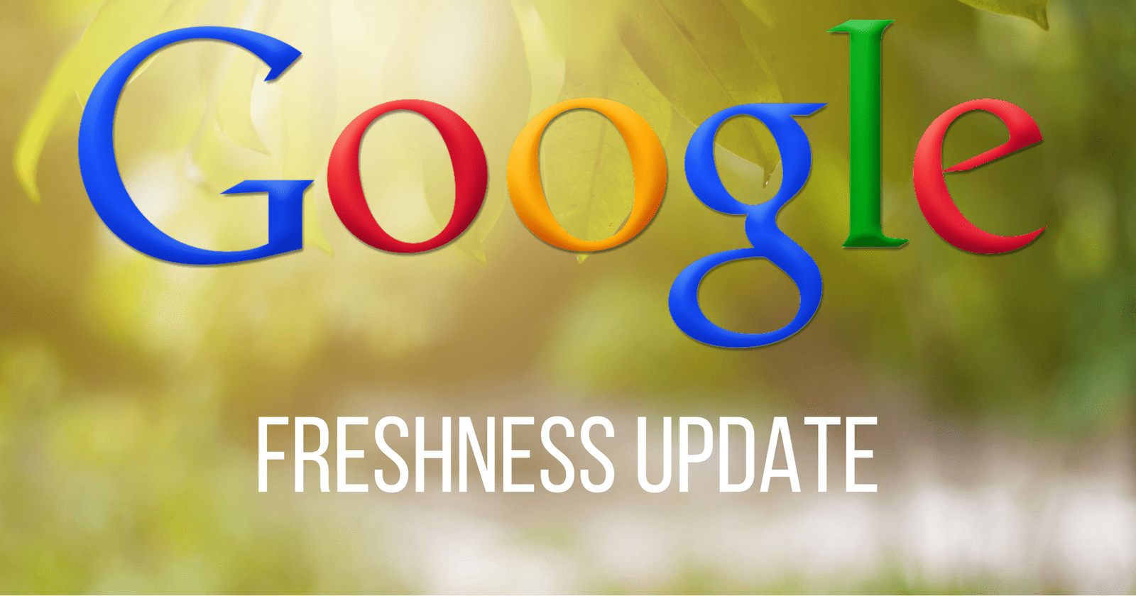 Google Freshness Update