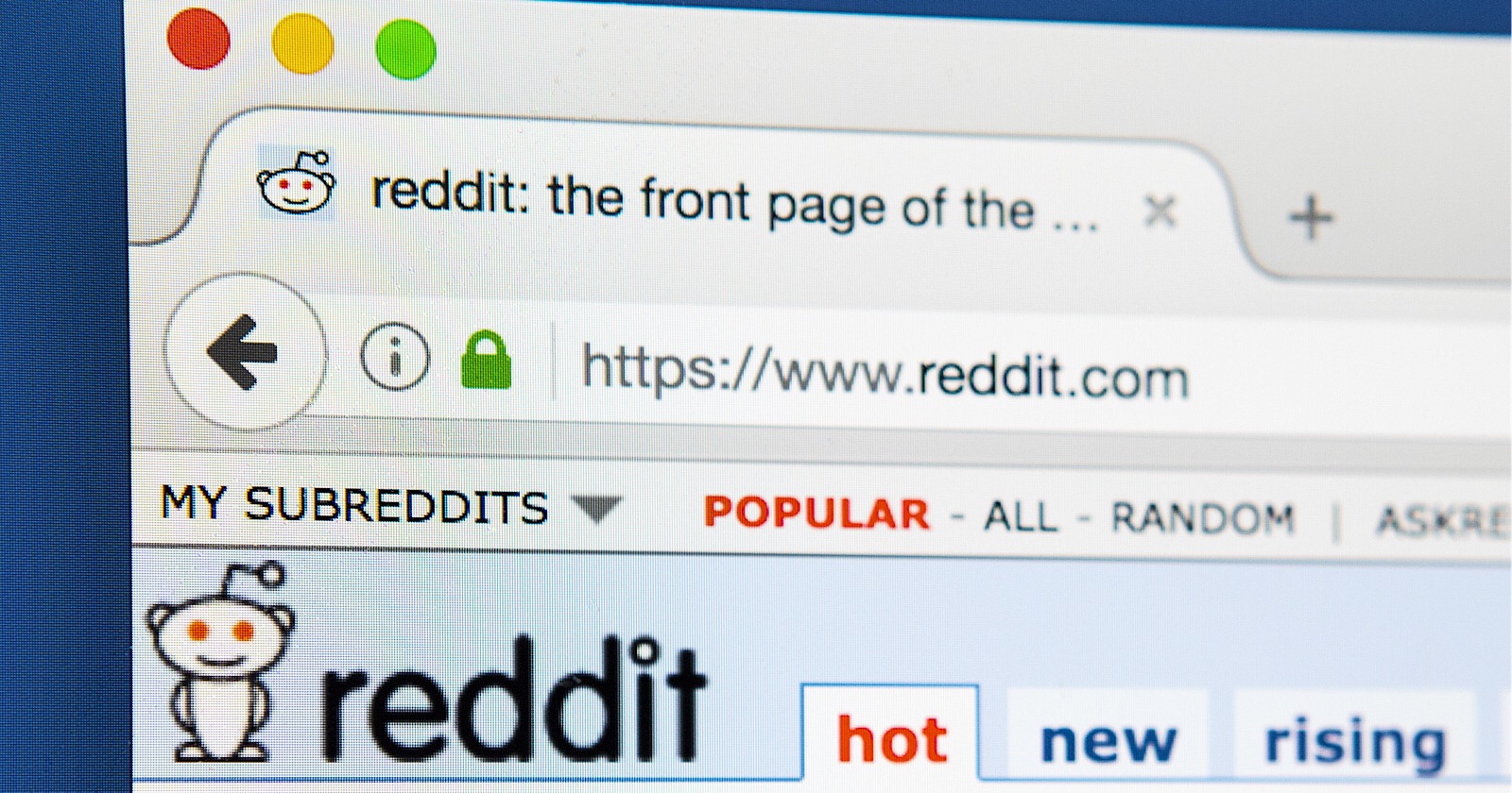 Bing to Offer Unique Search Experiences for Reddit Content