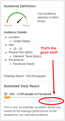 Screenshot of Facebook ad targeting data