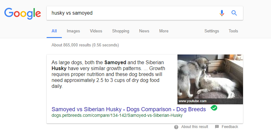 husky vs samoyed search results
