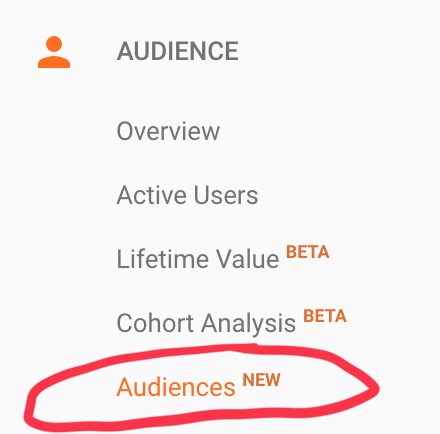 Google Analytics Introduces New ‘Audiences’ Report