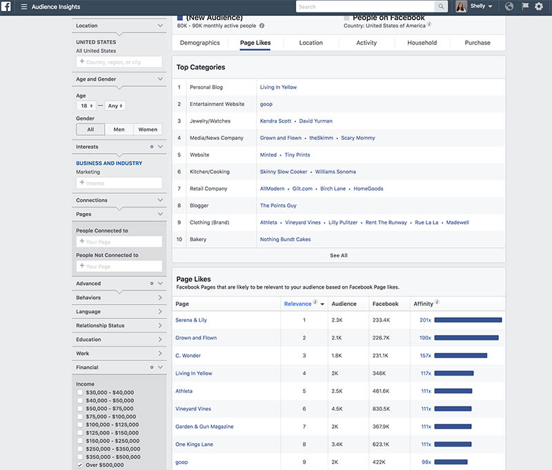 Facebook Audience Insights