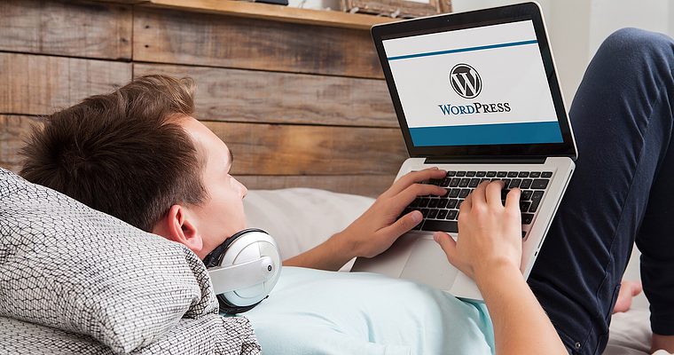 WordPress Powers 30% of the Top 10 Million Sites on the Web