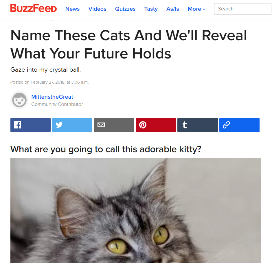 BuzzFeed Name These Cats And We'll Reveal What Your Future Holds