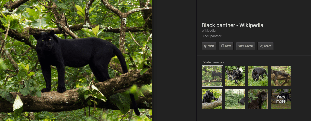 new image search options