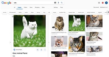 Google Tests New Design for Image Search Results