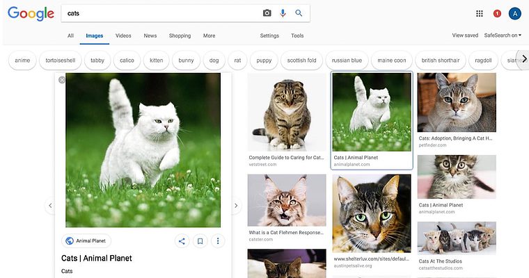 Google Tests New Design for Image Search Results
