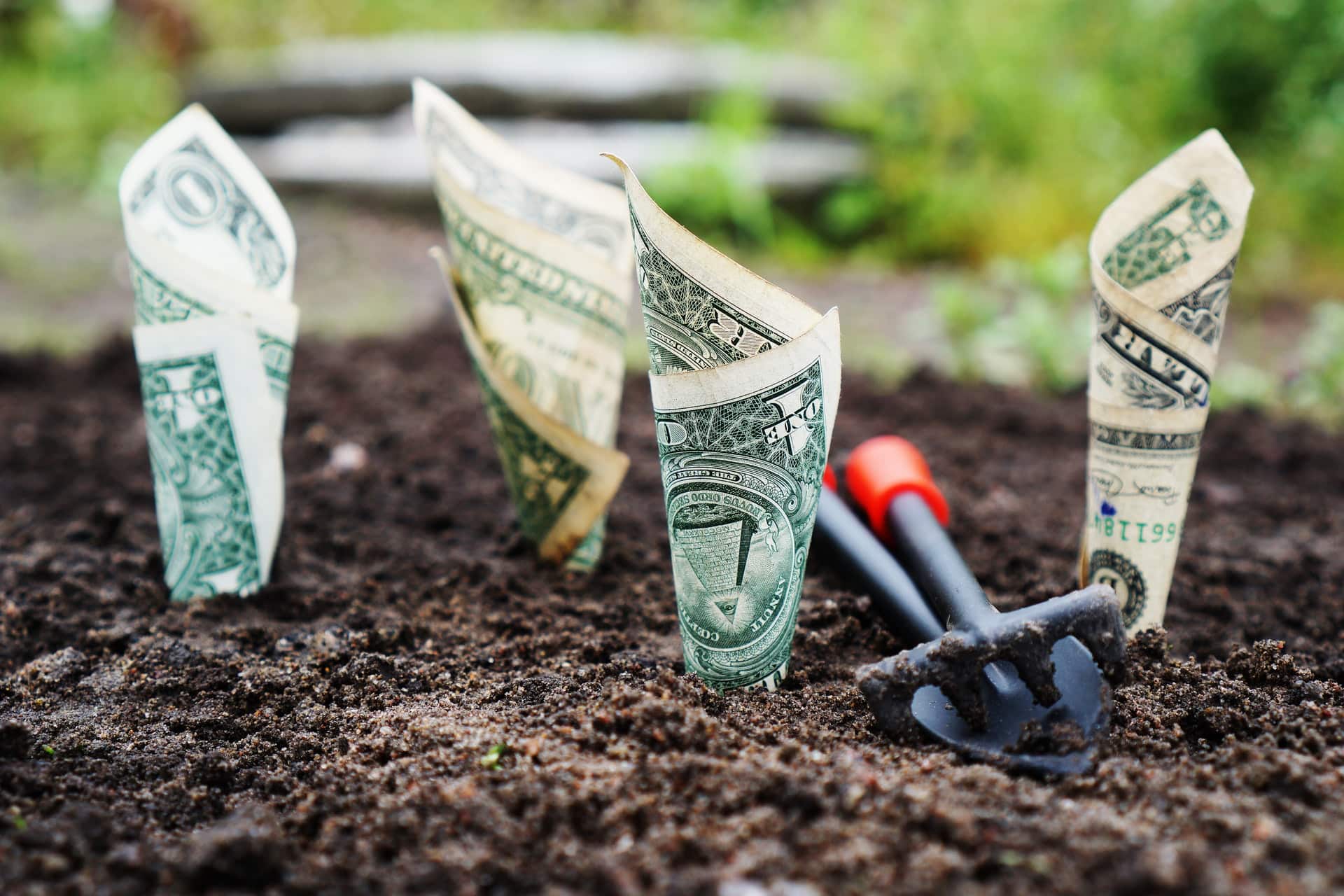 How to Run a High-Quality Content Site That Makes Money