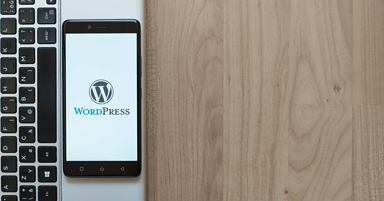 Top 11 WordPress Plugins for Agencies