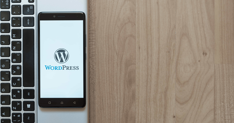 Top 11 WordPress Plugins for Agencies