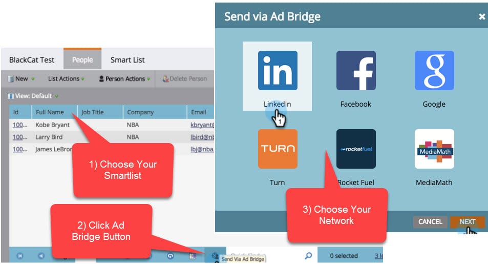 Marketo AdBridge Audience Export