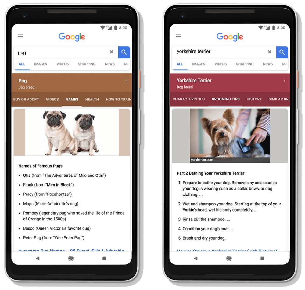 Google Begins Using Neural Matching to Understand Synonyms, Impacting 30% of Queries
